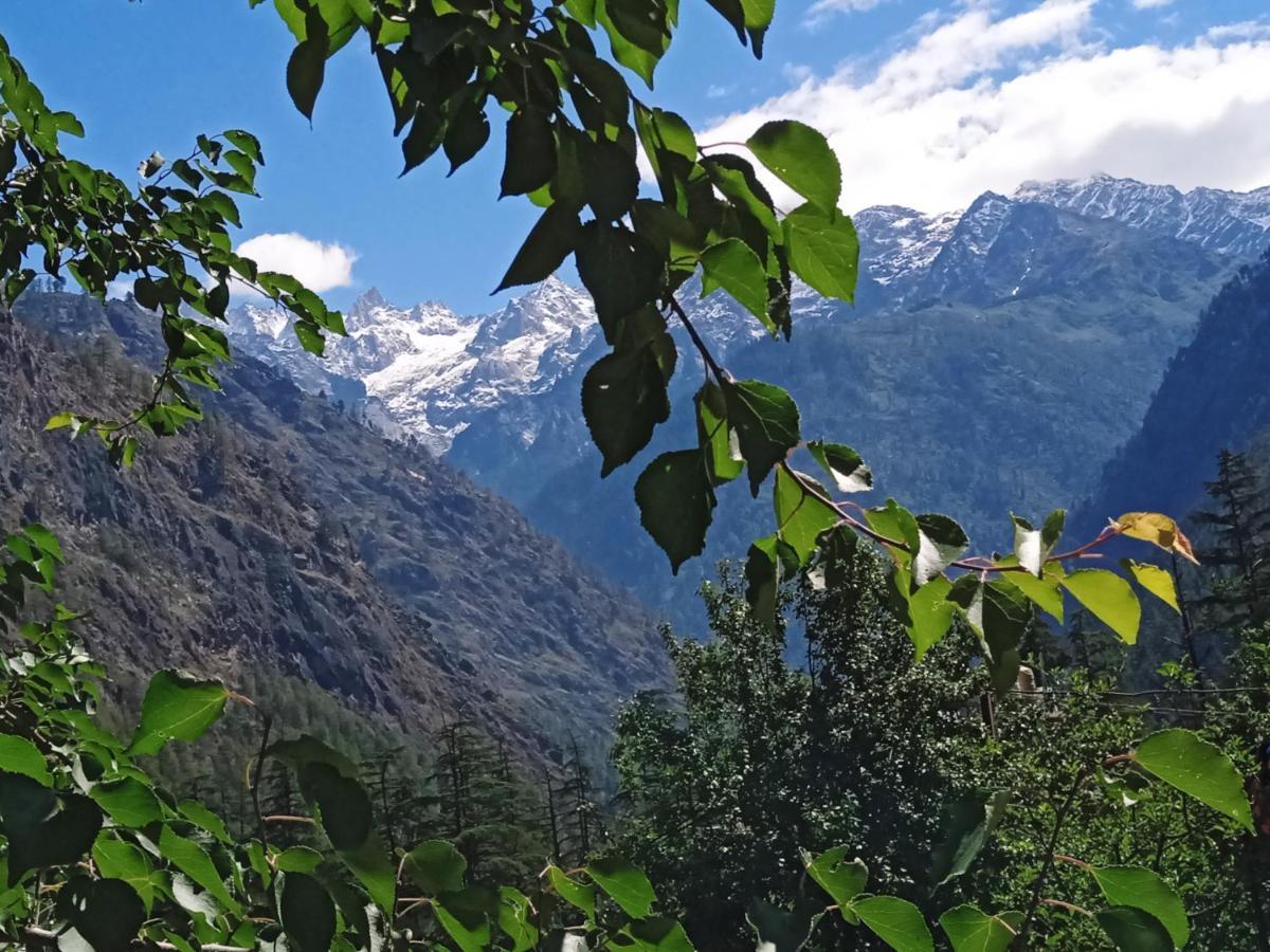 Kasol View Hotel ภายนอก รูปภาพ